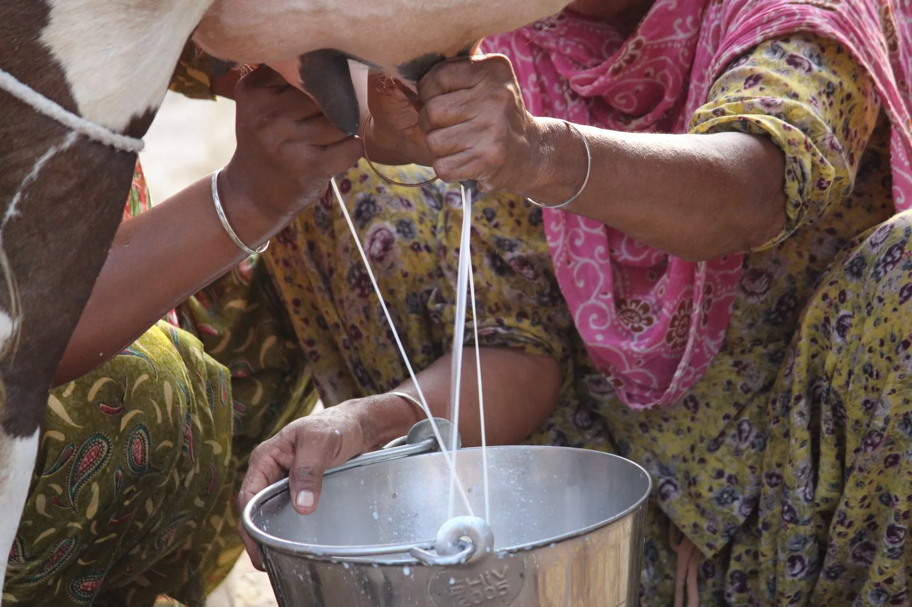 Authentic Maithili Til Baari with Warm Jaggery Milk