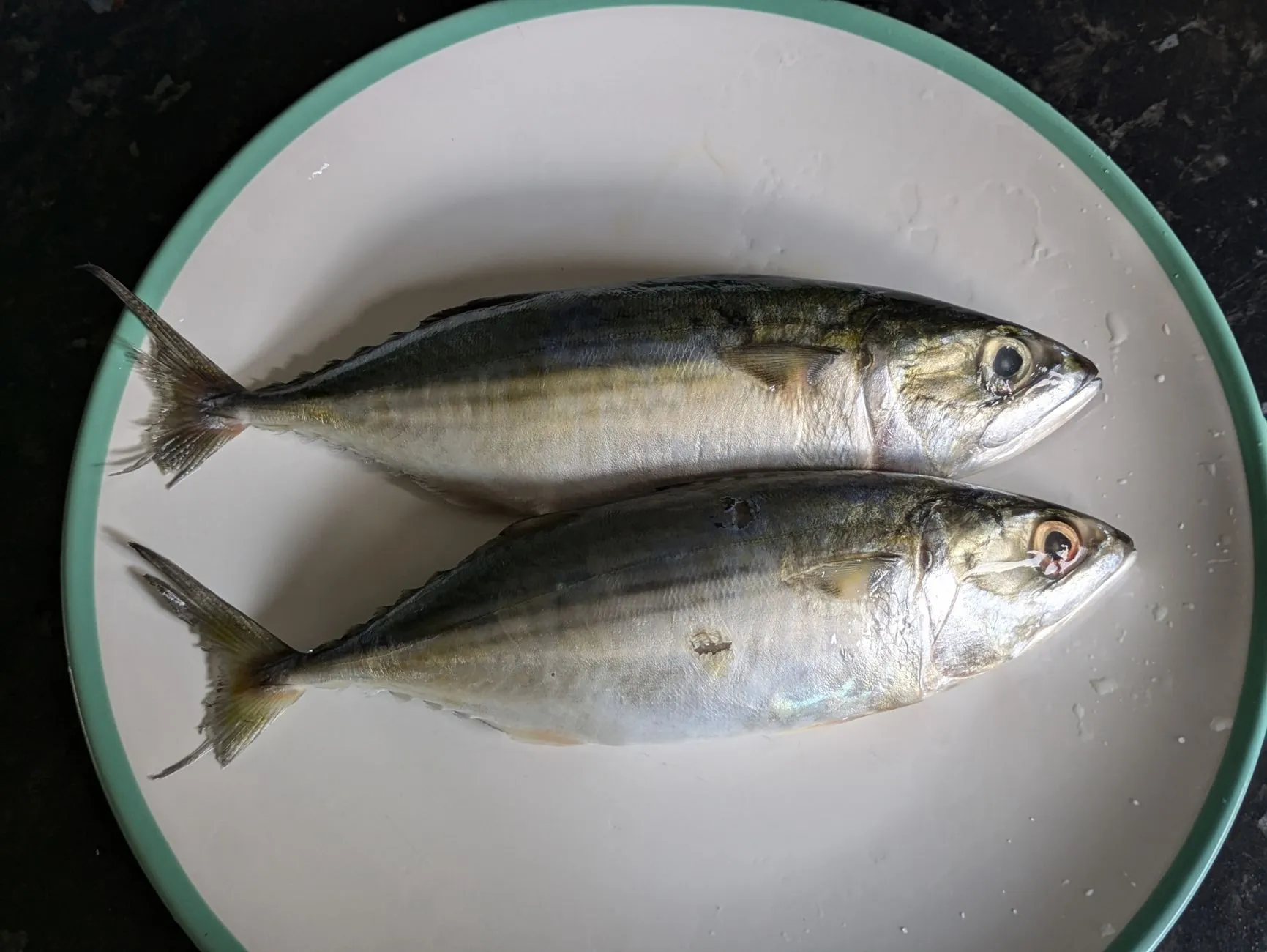 Authentic Goan Rachaado Mackerel with Warm Poi Bread