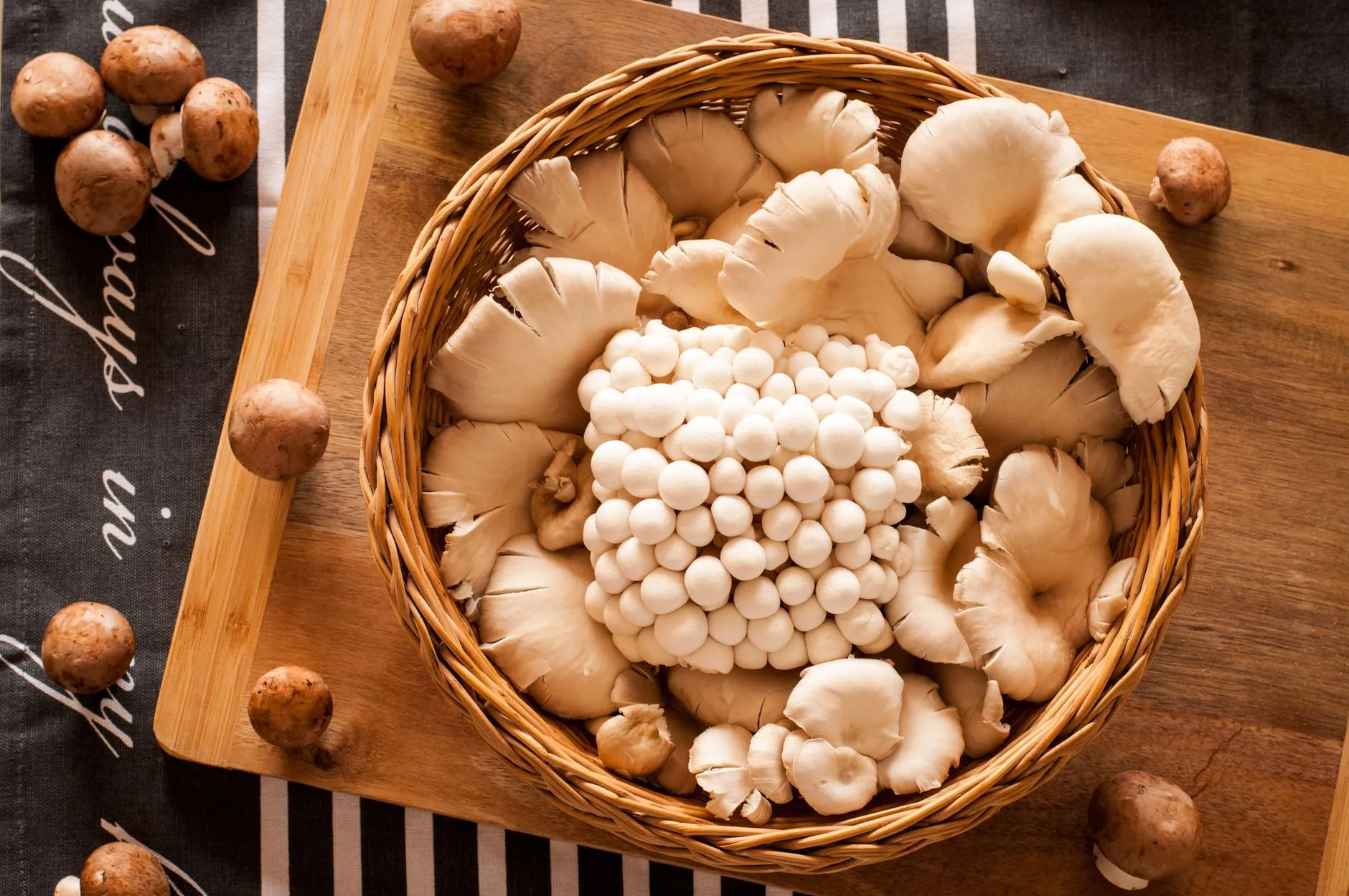 Kongunadu Pallipalayam Mushroom