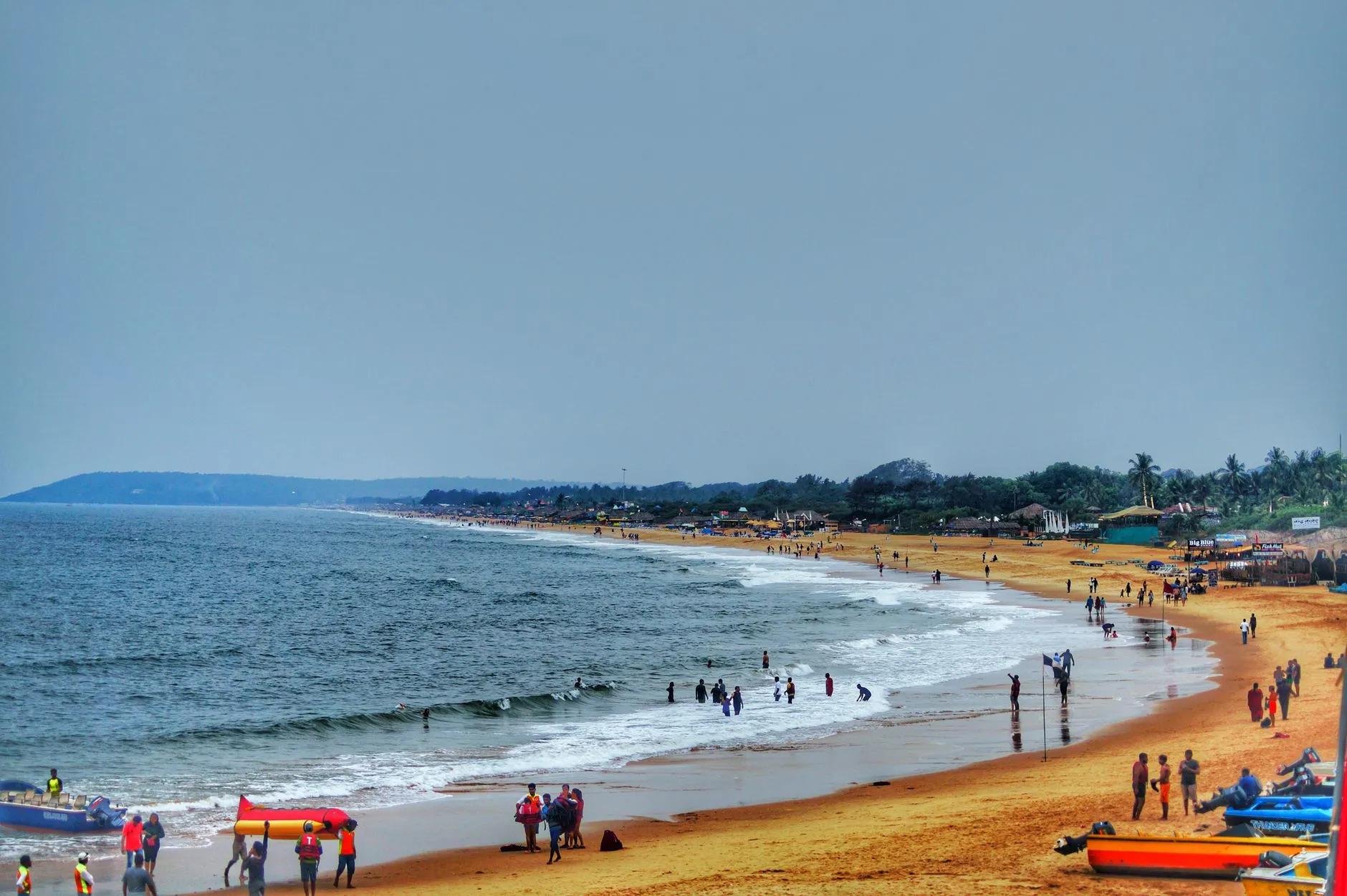 Goan Shark Ambotik