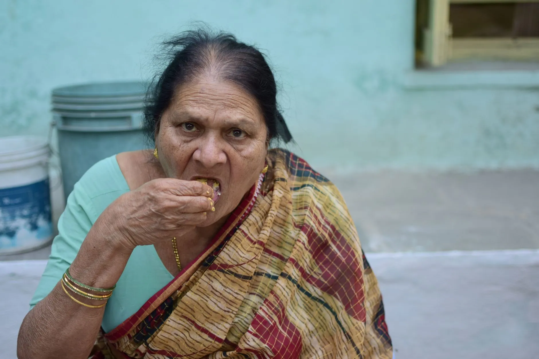 Authentic Telangana Pachi Pulusu