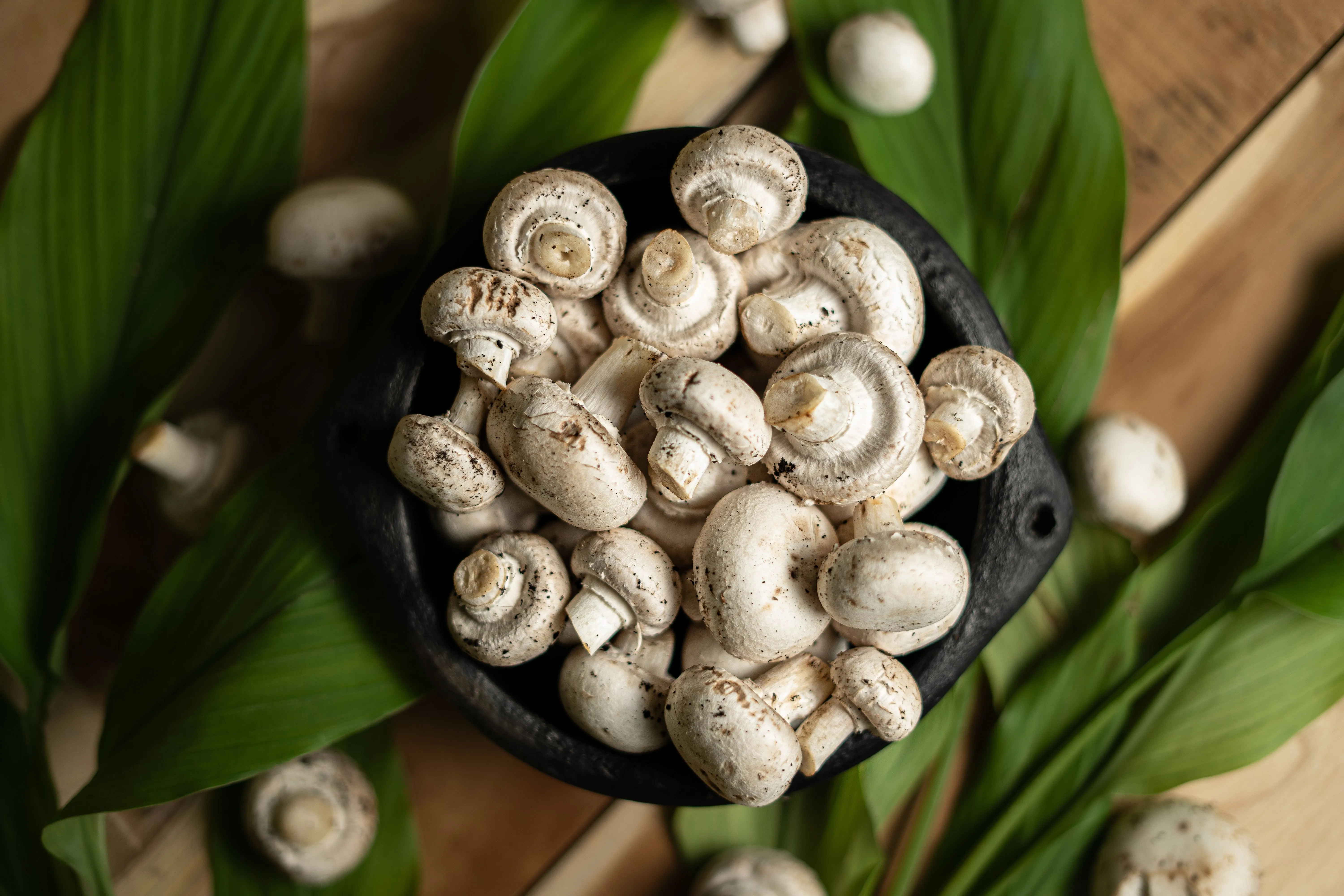 Chettinad Mushroom Varuval